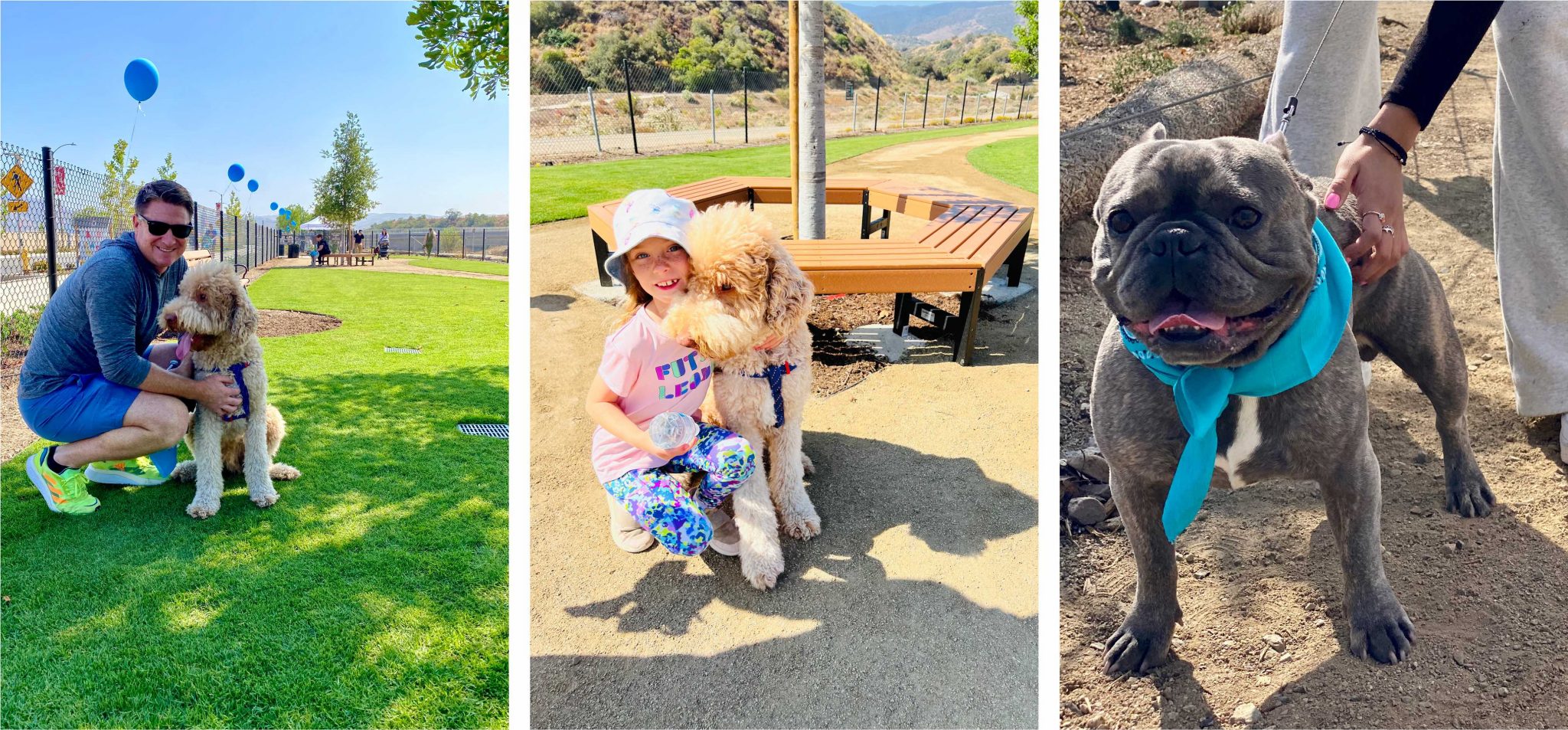 Feeling PAWesome Bedford