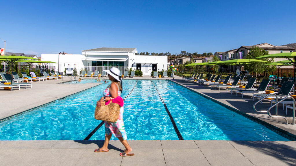 The Pool at The Shed
